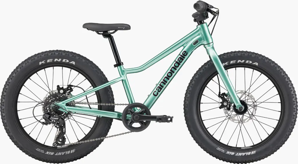 Cannondale 20 Kids trail plus CTG