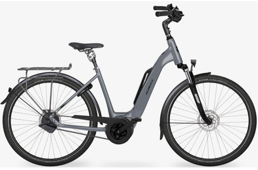 Velo de Ville AEB900 Bosch PX Eco Grey 9v 48cm (160-175cm)